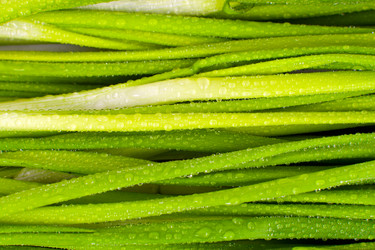 Similar image 952118