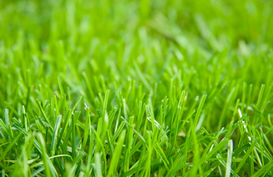 Similar image 952125