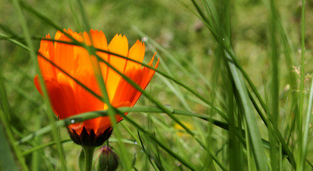 Similar image 952379