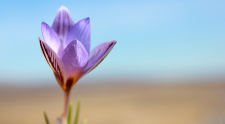 Similar image 952380