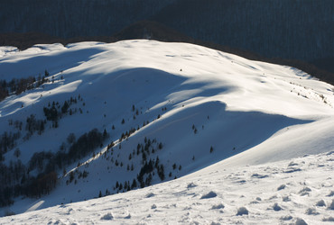 Similar image 952453