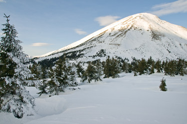 Similar image 952468