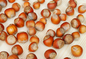 Similar image 952472