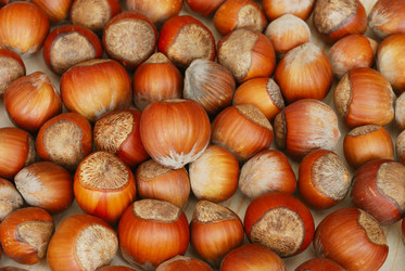 Similar image 952470