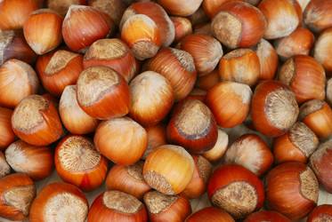 Similar image 952471