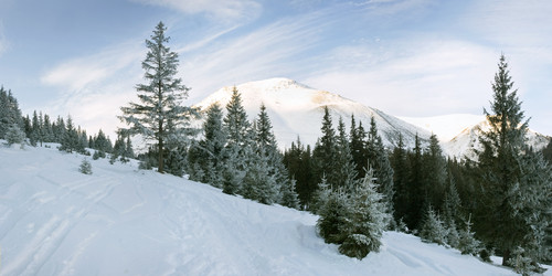 Similar image 952479