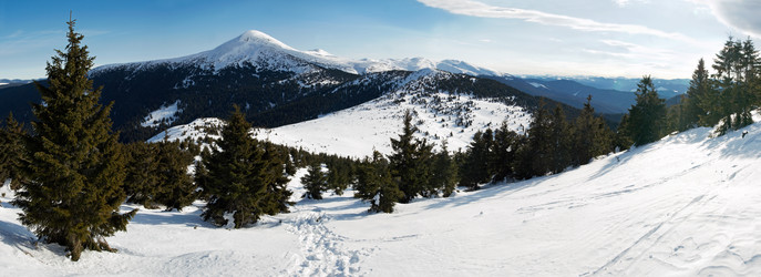 Similar image 952504