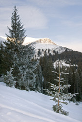 Similar image 952509