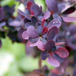 Similar image 952511