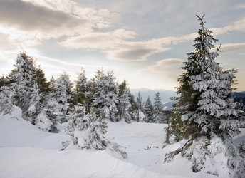 Similar image 952513