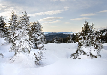 Similar image 952516