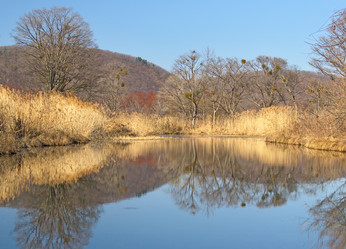 Similar image 952540