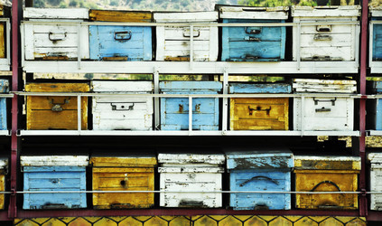 Similar image 952557