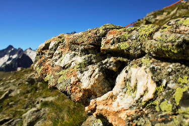 Similar image 952586