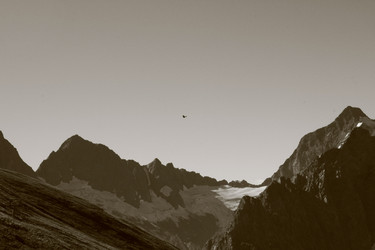 Similar image 952606