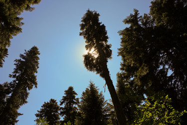 Similar image 952616