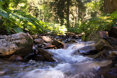 Similar image 952619