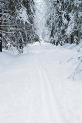 Similar image 952638