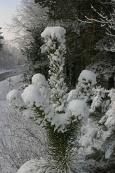 Similar image 952640