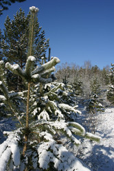 Similar image 952641