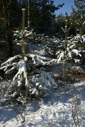 Similar image 952642