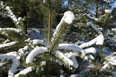 Similar image 952643