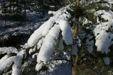 Similar image 952644