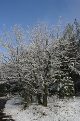 Similar image 952645