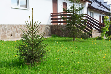 Similar image 952650