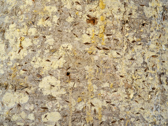 Similar image 952684