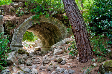 Similar image 952686