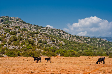 Similar image 952689