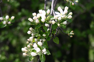 Similar image 952709