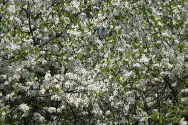 Similar image 952710