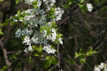 Similar image 952711