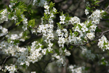 Similar image 952712