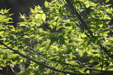 Similar image 952713