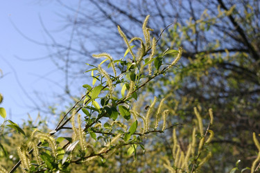 Similar image 952715