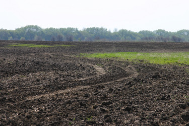 Similar image 952719