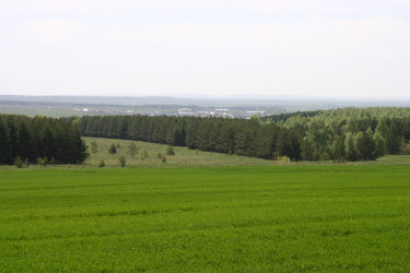 Similar image 952720