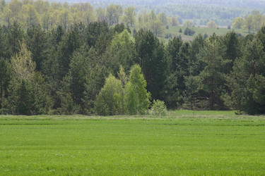 Similar image 952721