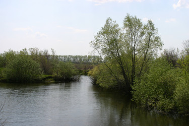 Similar image 952722