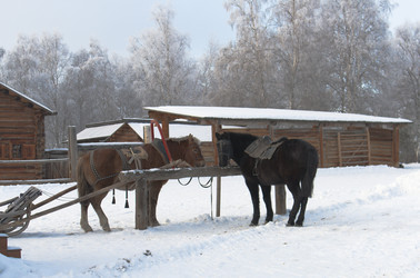 Similar image 952725