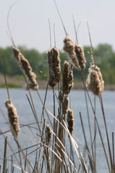 Similar image 952727