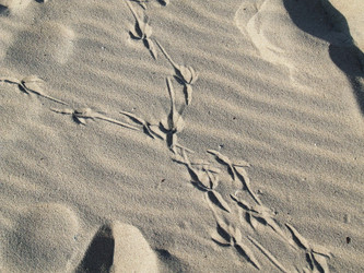 Similar image 952736