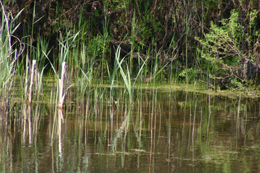 Similar image 952737