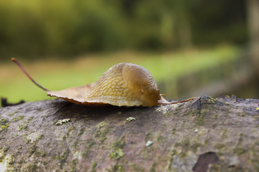 Similar image 952740