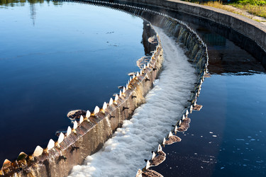 Similar image 952745