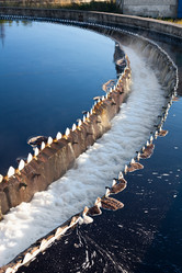 Similar image 952749