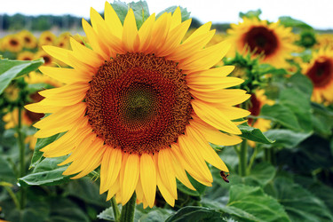 Similar image 952777